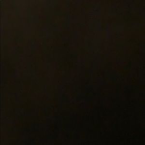 Meet your Posher, Deanna